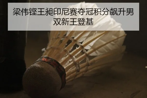 梁伟铿王昶印尼赛夺冠积分飙升男双新王登基